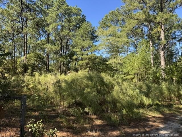 Photo 4 - 5479 Falling Waters Drive, Hope Mills, NC 28348