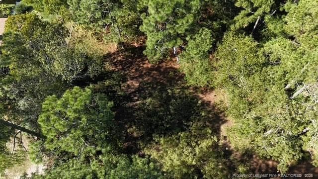 Photo 10 - 5479 Falling Waters Drive, Hope Mills, NC 28348
