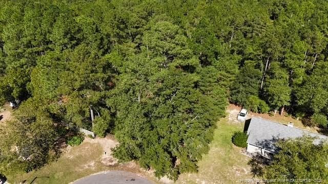 Photo 11 - 5479 Falling Waters Drive, Hope Mills, NC 28348