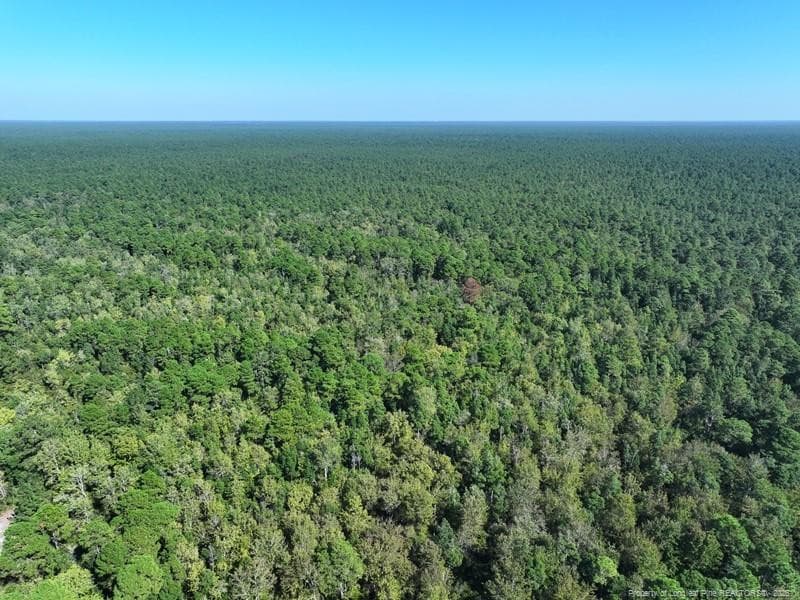 Angola Bay, Wallace, NC 28466