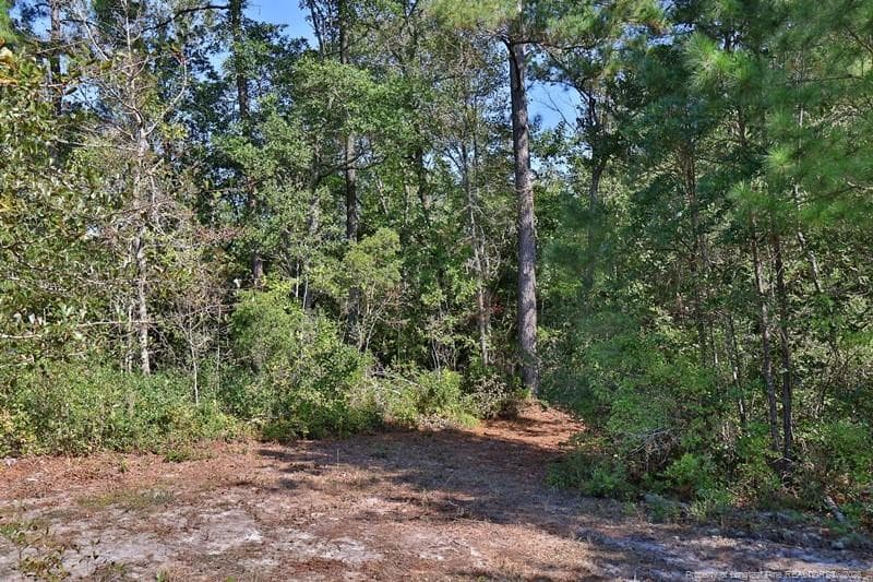Photo 2 - Angola Bay, Wallace, NC 28466