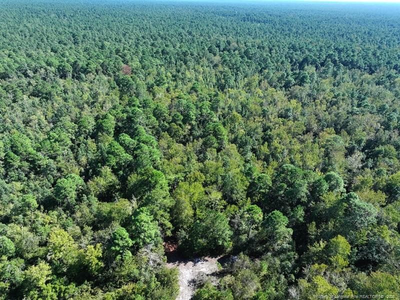 Photo 3 - Angola Bay, Wallace, NC 28466