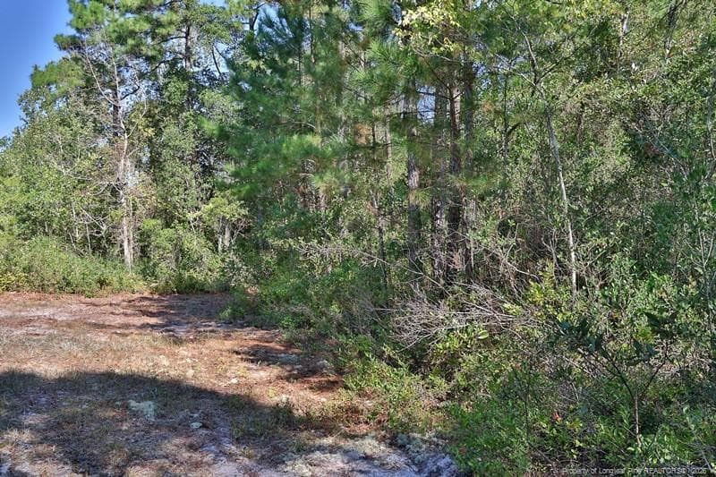 Photo 4 - Angola Bay, Wallace, NC 28466