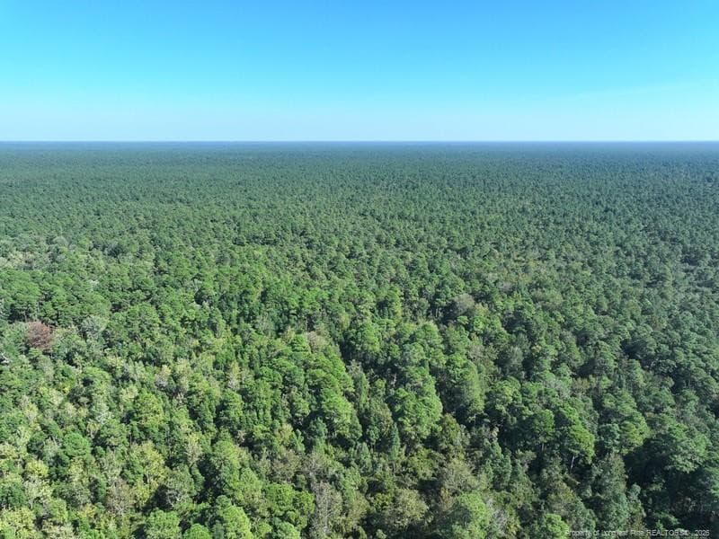Photo 6 - Angola Bay, Wallace, NC 28466