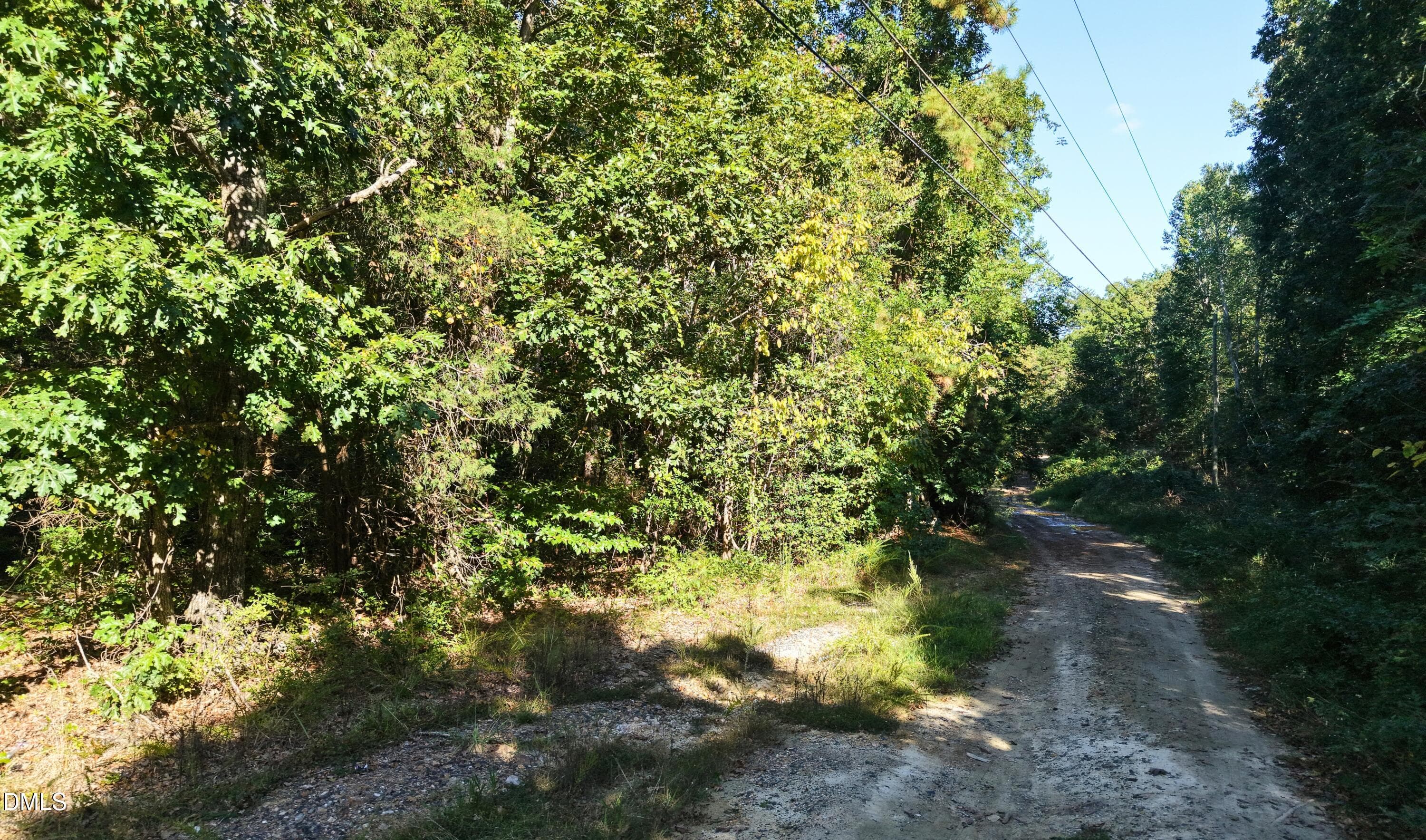 Dirt Road Along the Wooded Lot - 00-00 Fourth Park Avenue, Randleman, NC 27317