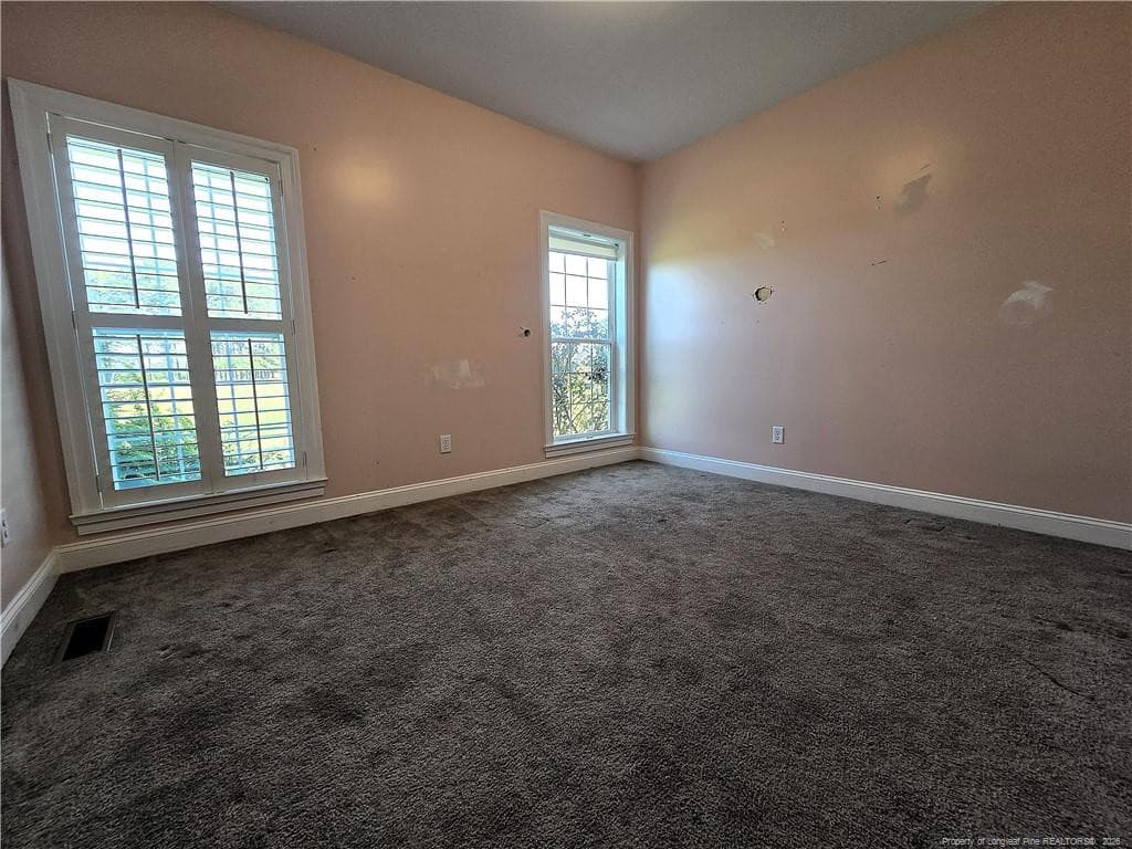 Photo 22 - 1103 Forrest Drive, Bladenboro, NC 28320