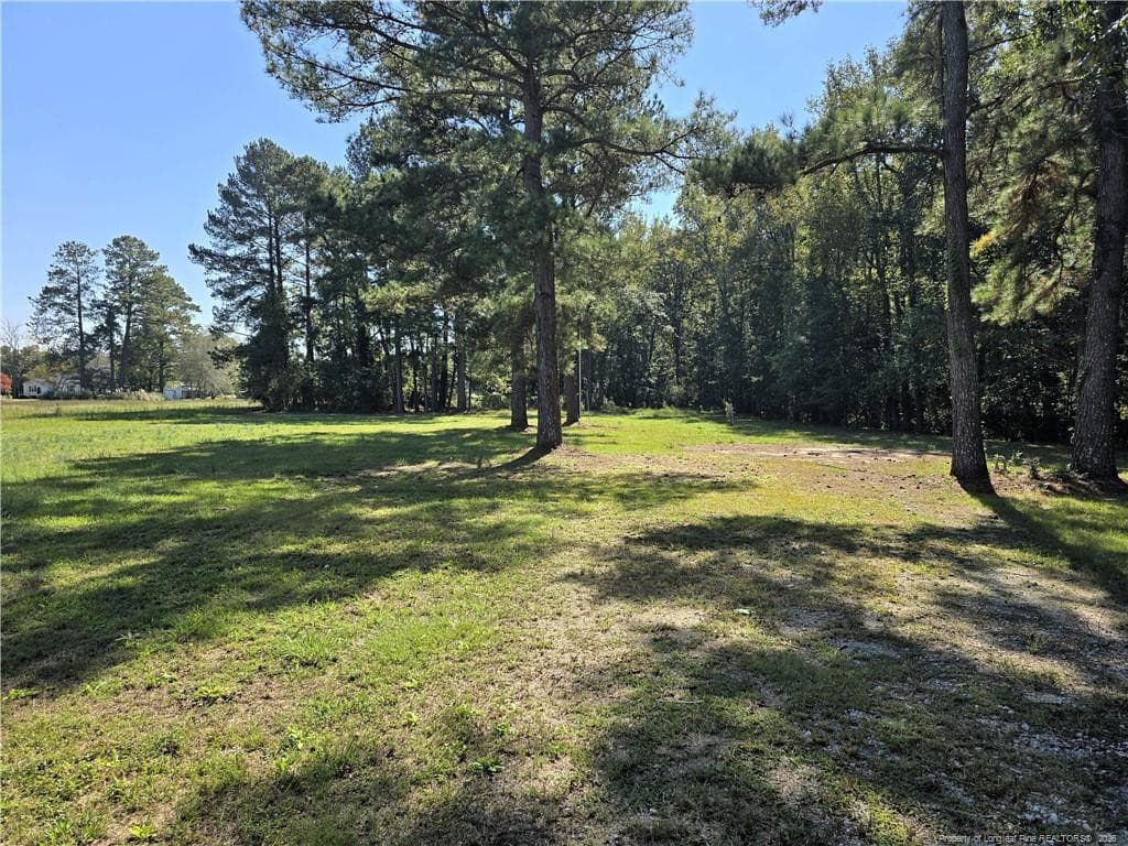 Photo 30 - 1103 Forrest Drive, Bladenboro, NC 28320