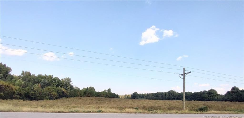 Photo 13 - 0 Fire Tower Road, Sanford, NC 27330