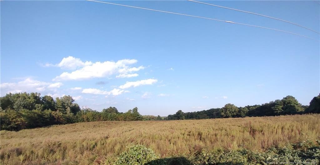 Photo 14 - 0 Fire Tower Road, Sanford, NC 27330