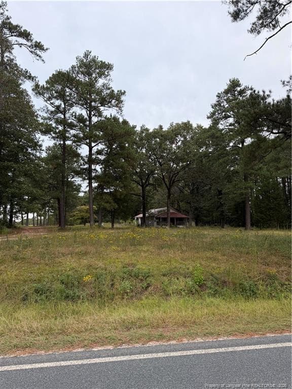Photo 3 - 3776 McDougald Road, Lillington, NC 27546