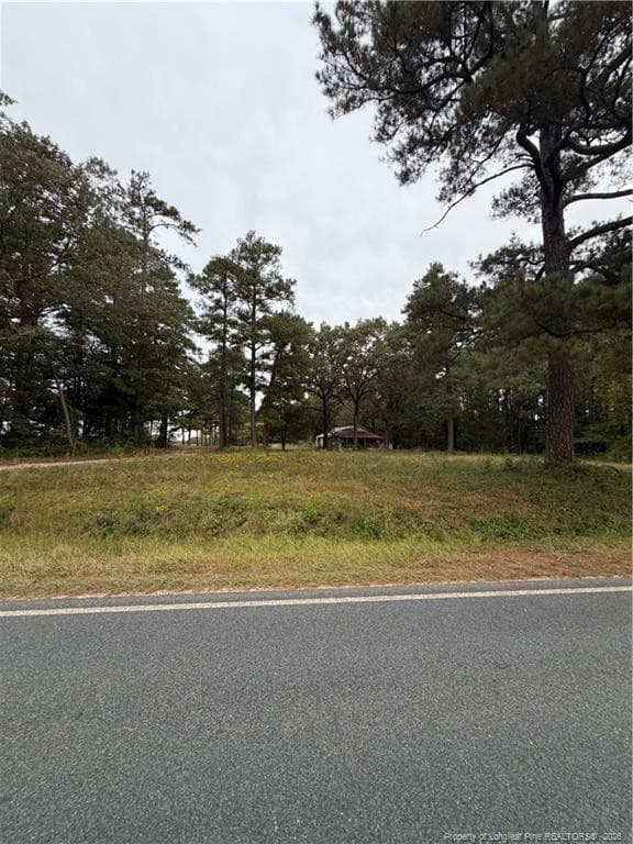 Photo 5 - 3776 McDougald Road, Lillington, NC 27546