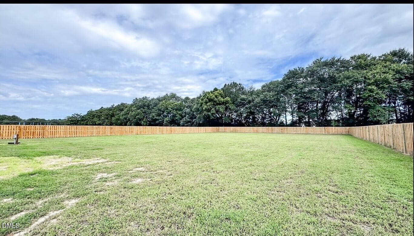 Backyard view 3 - 123 Surles Landing Way, Benson, NC 27504