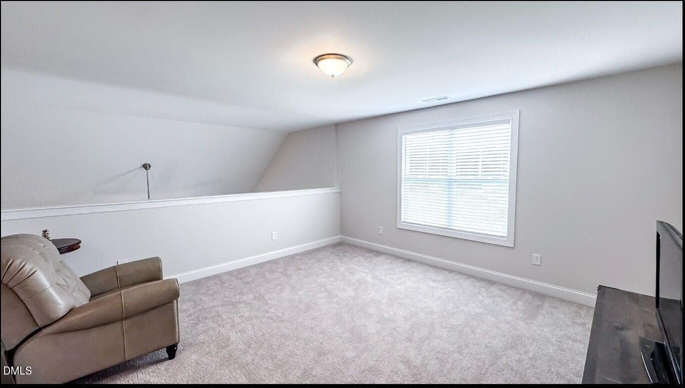 Bonus Area second floor - 123 Surles Landing Way, Benson, NC 27504