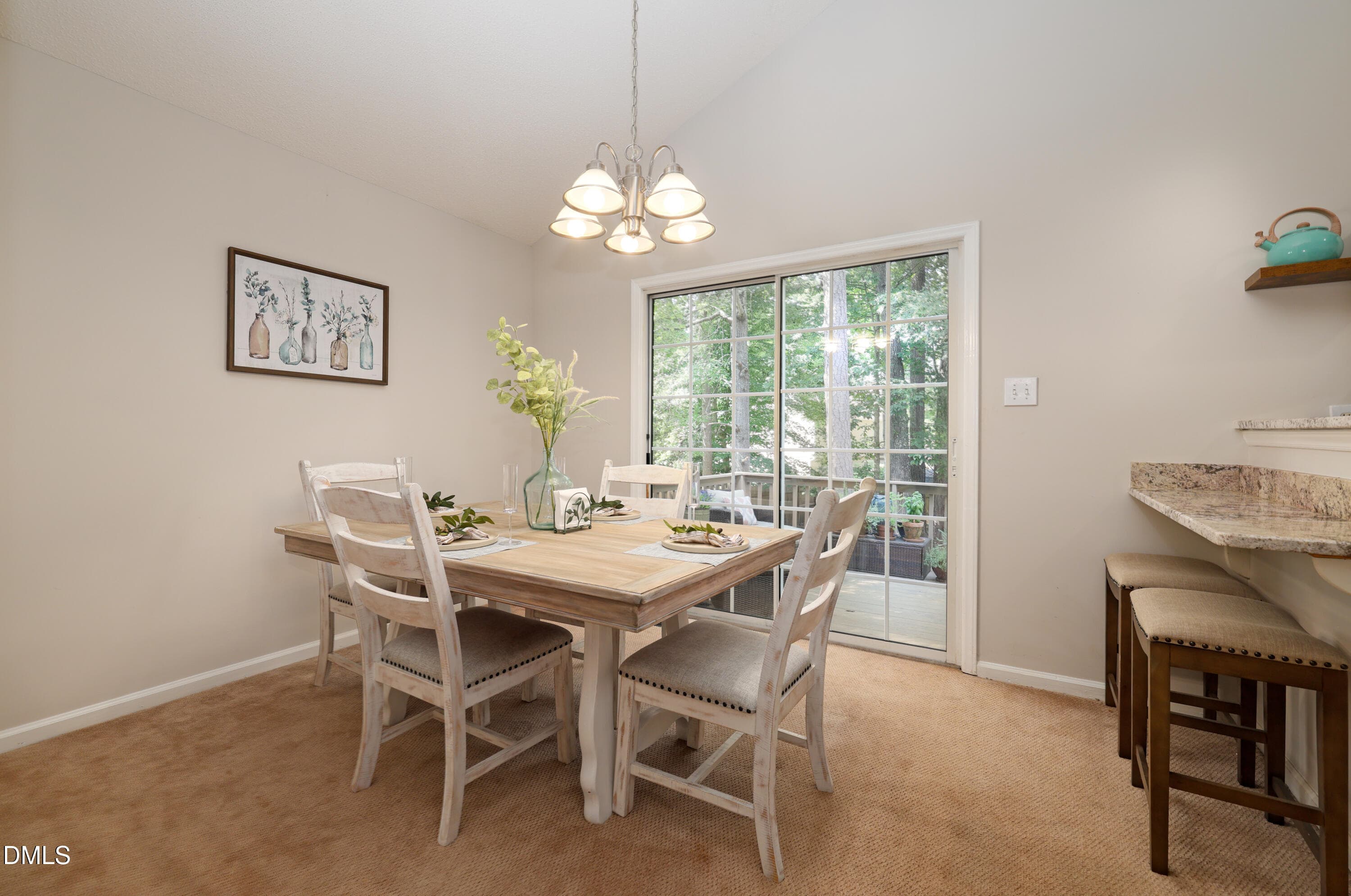 fo6a8190_54675254157_o - 3011 Elk Ridge Road, Durham, NC 27712