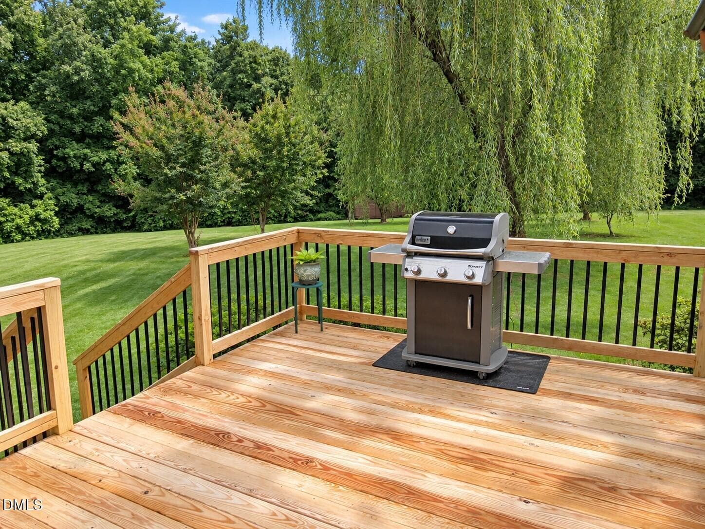 Back deck - 1159 Fleming Town Road, Henderson, NC 27537