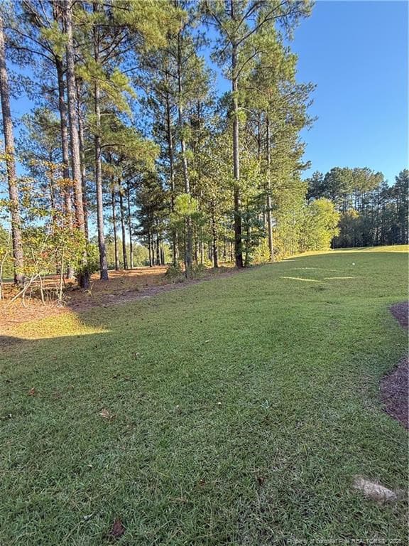 Photo 23 - 260 Gallery Drive 102, Spring Lake, NC 28390