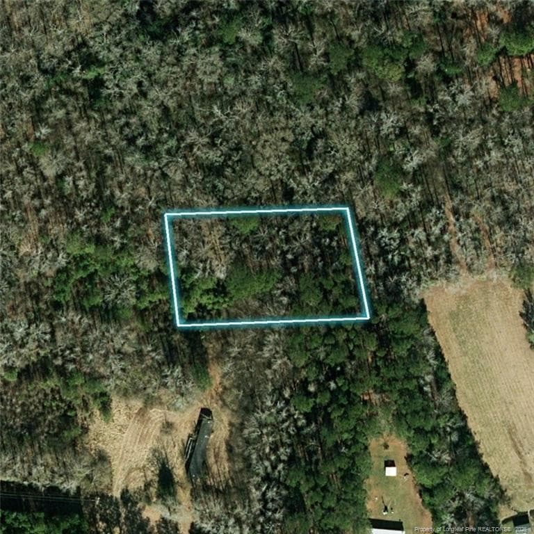 Photo 2 - 0 Wooten Road, Maple Hill, NC 28545