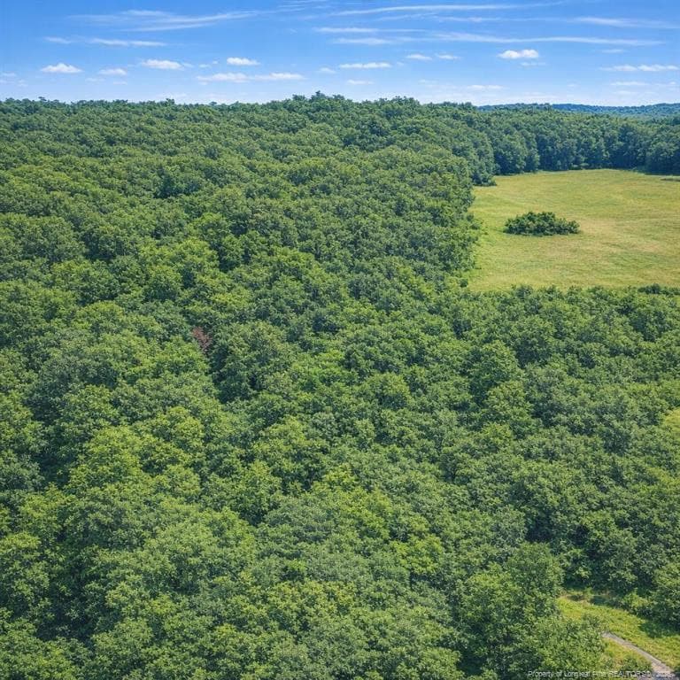 Photo 5 - 0 Wooten Road, Maple Hill, NC 28545