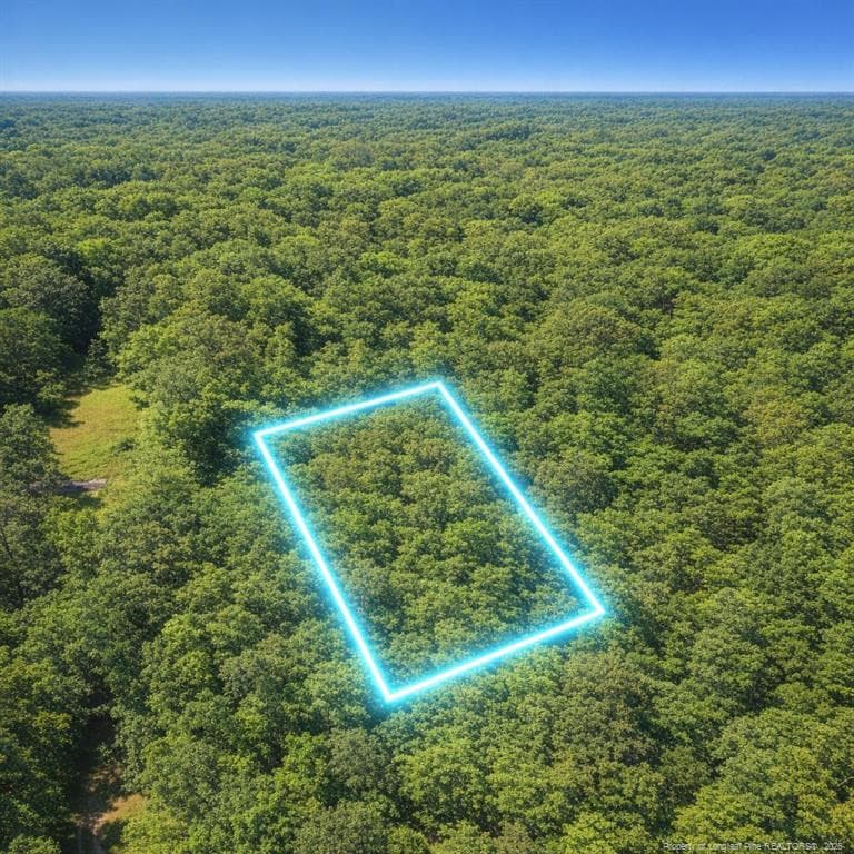 Photo 12 - 0 Wooten Road, Maple Hill, NC 28545