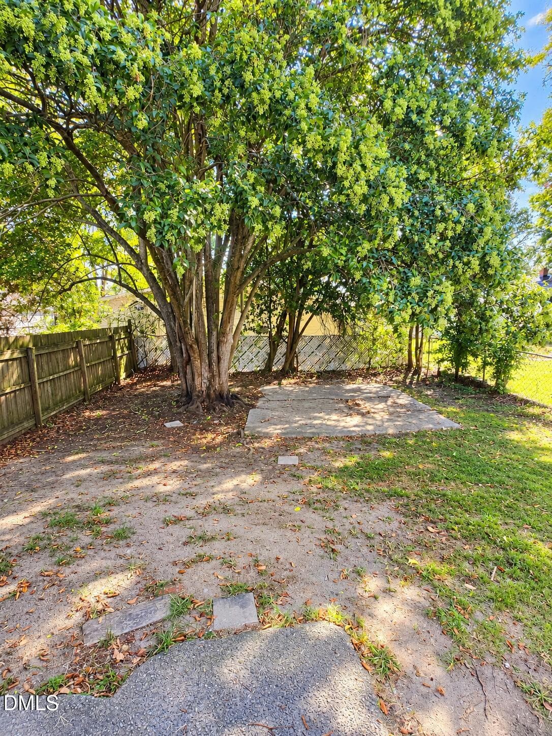Backyard - 515 Vance Street, Greenville, NC 27834