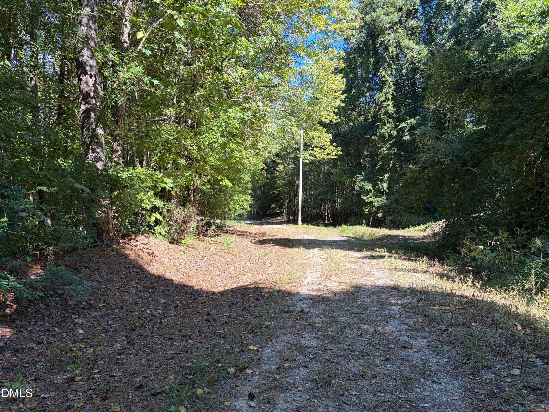 Roadway - 210 Central Street, Clayton, NC 27520