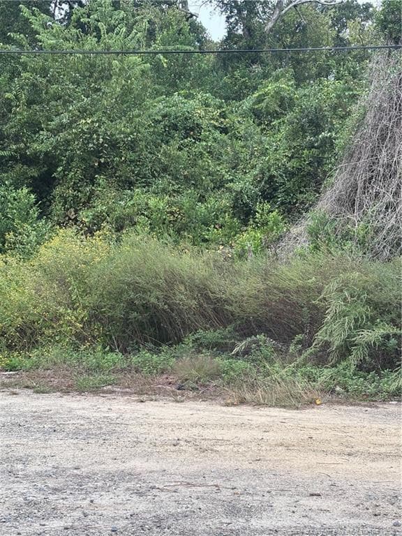 Photo 2 - Pelt Drive, Fayetteville, NC 28301