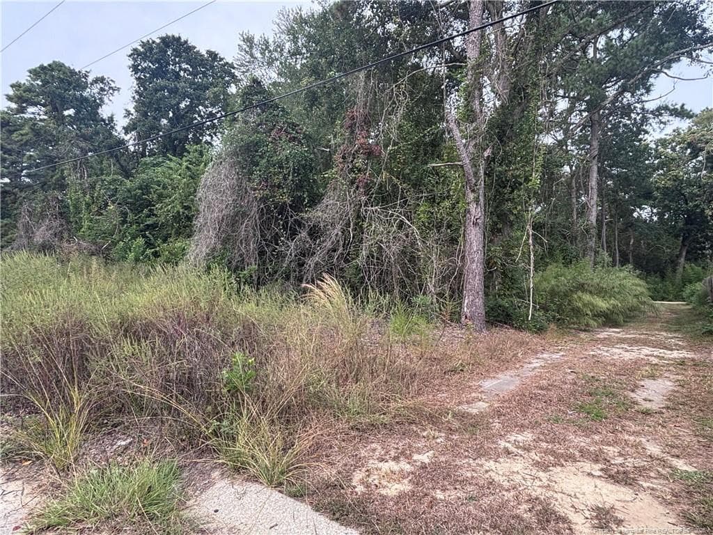Photo 4 - Pelt Drive, Fayetteville, NC 28301