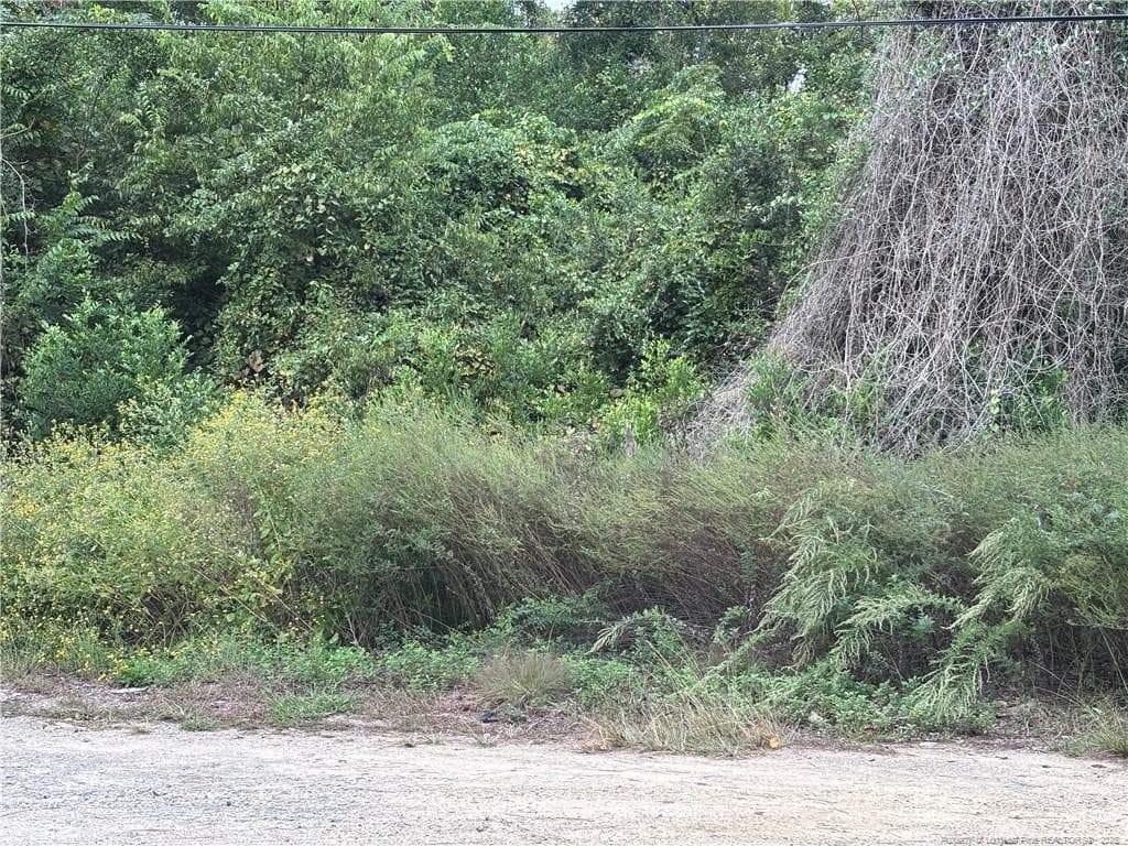 Photo 7 - Pelt Drive, Fayetteville, NC 28301