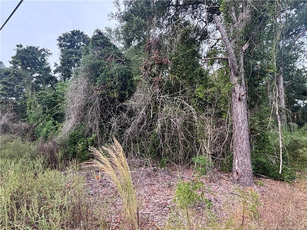 Photo 10 - Pelt Drive, Fayetteville, NC 28301