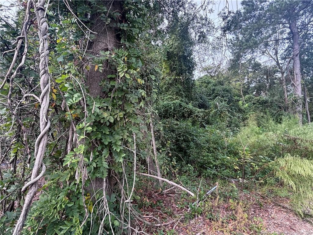 Photo 14 - Pelt Drive, Fayetteville, NC 28301