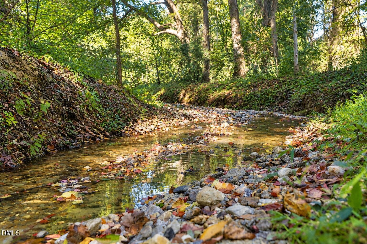 Stream (2) - 2024 Wide River Drive, Raleigh, NC 27614