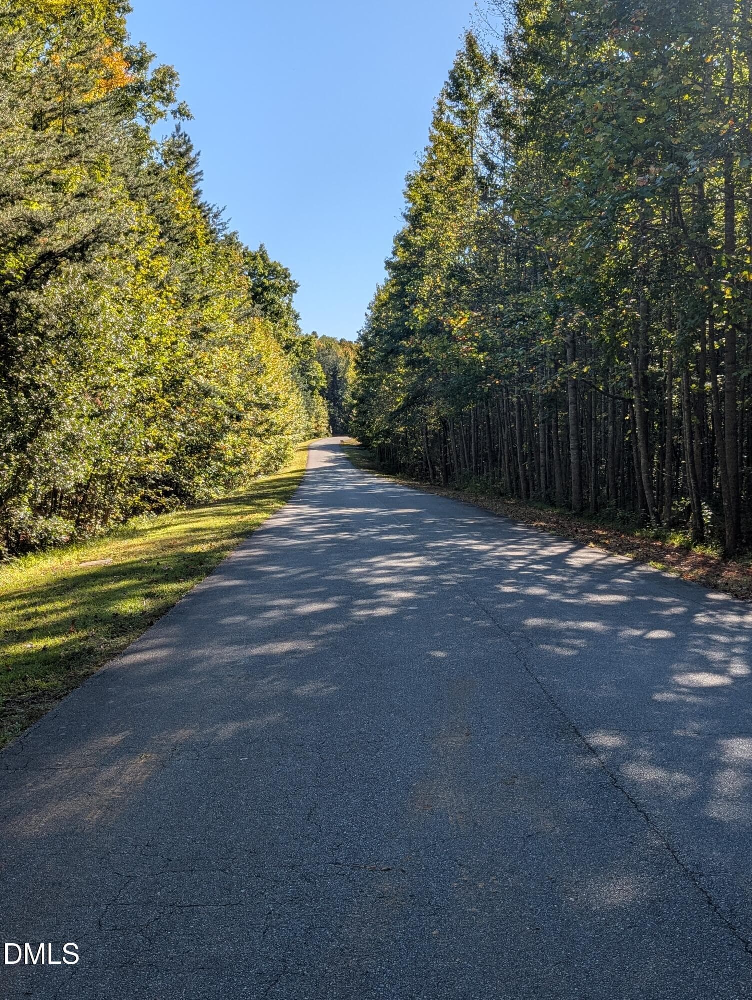 PXL_20261020_200123528 - 1020 Westridge Road, Rougemont, NC 27572