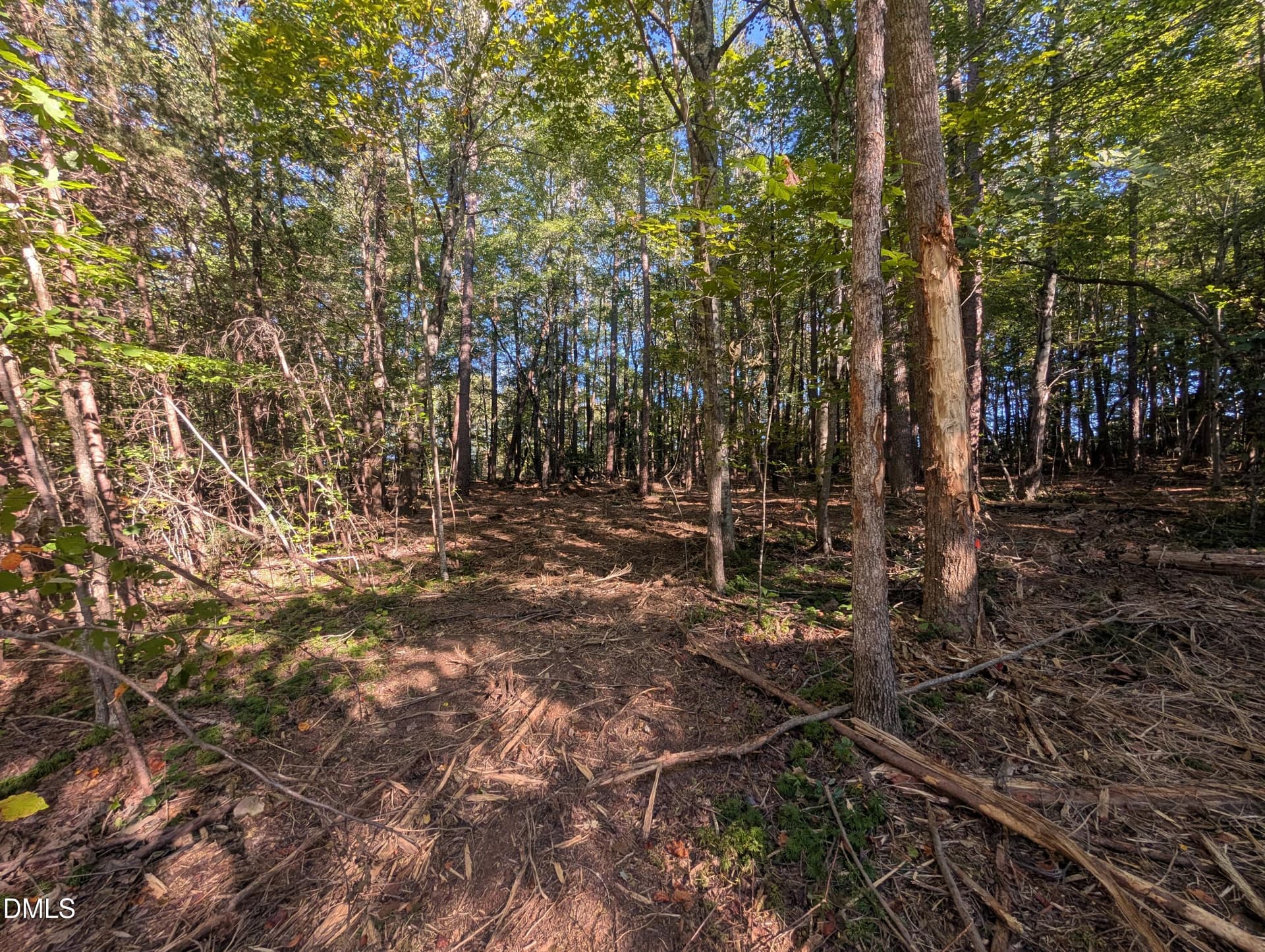 PXL_20261020_195954082 - 1020 Westridge Road, Rougemont, NC 27572