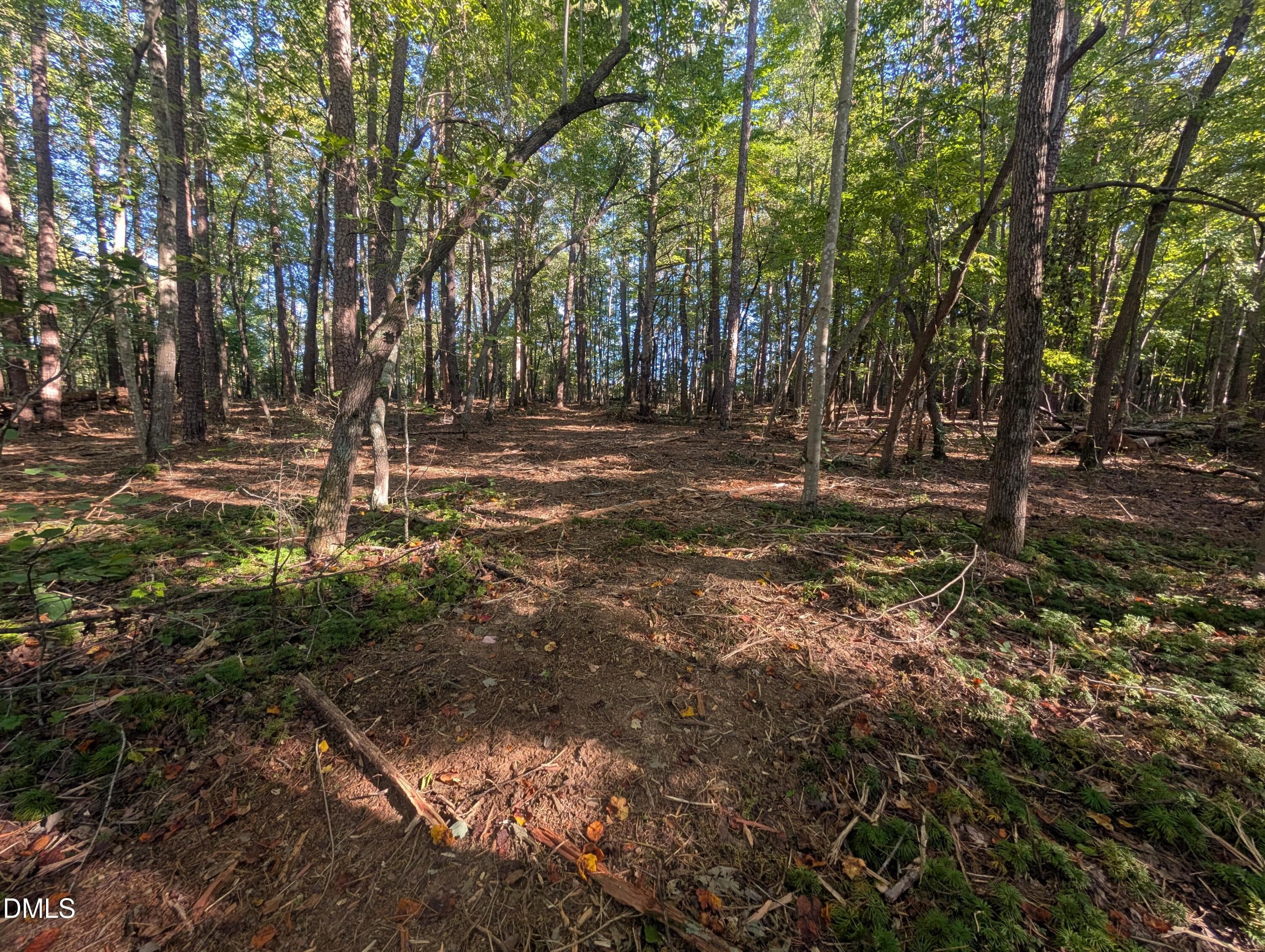 PXL_20261020_200013554 - 1020 Westridge Road, Rougemont, NC 27572