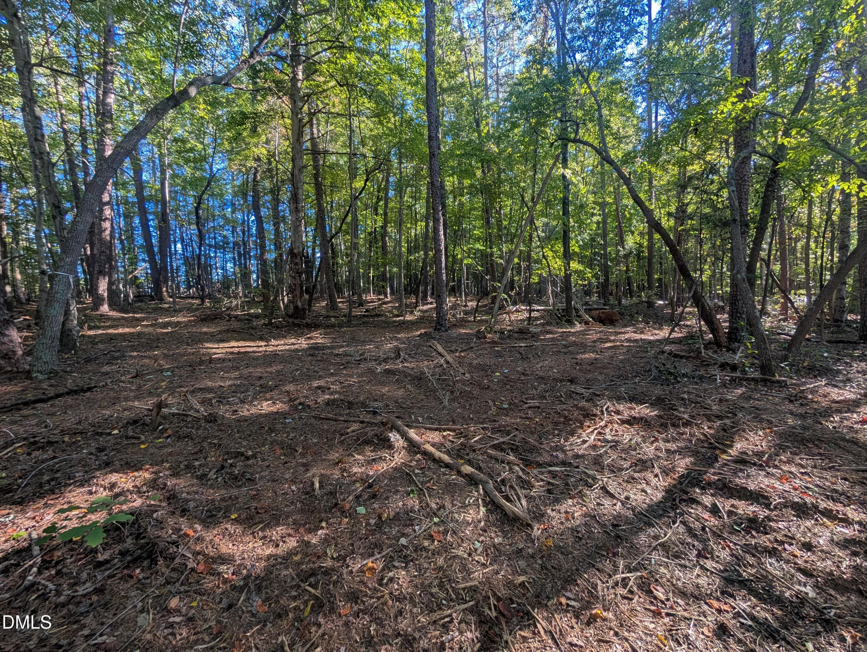 PXL_20261020_200035672 - 1020 Westridge Road, Rougemont, NC 27572