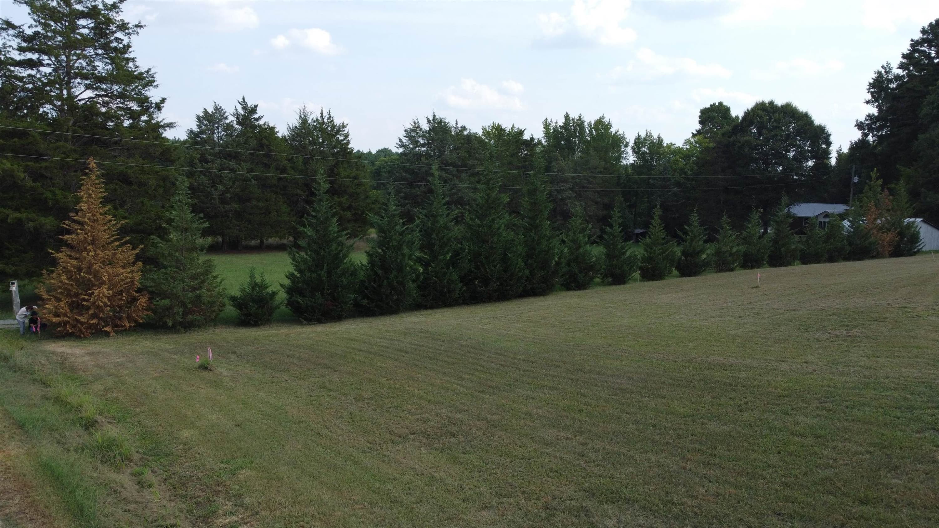 226 Carter Brooks Road, Siler City, NC 27344