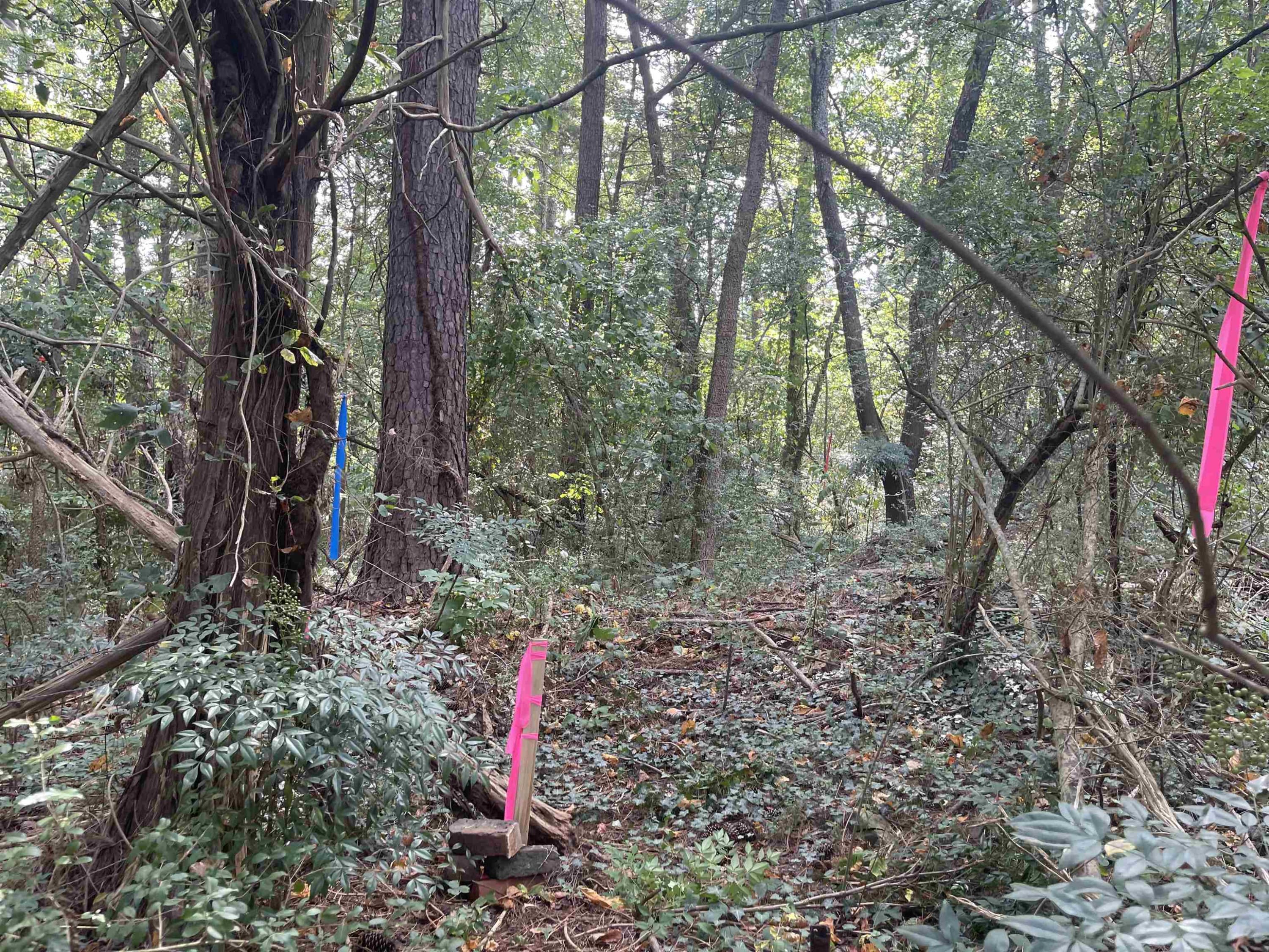 Photo 15 - 226 Carter Brooks Road, Siler City, NC 27344