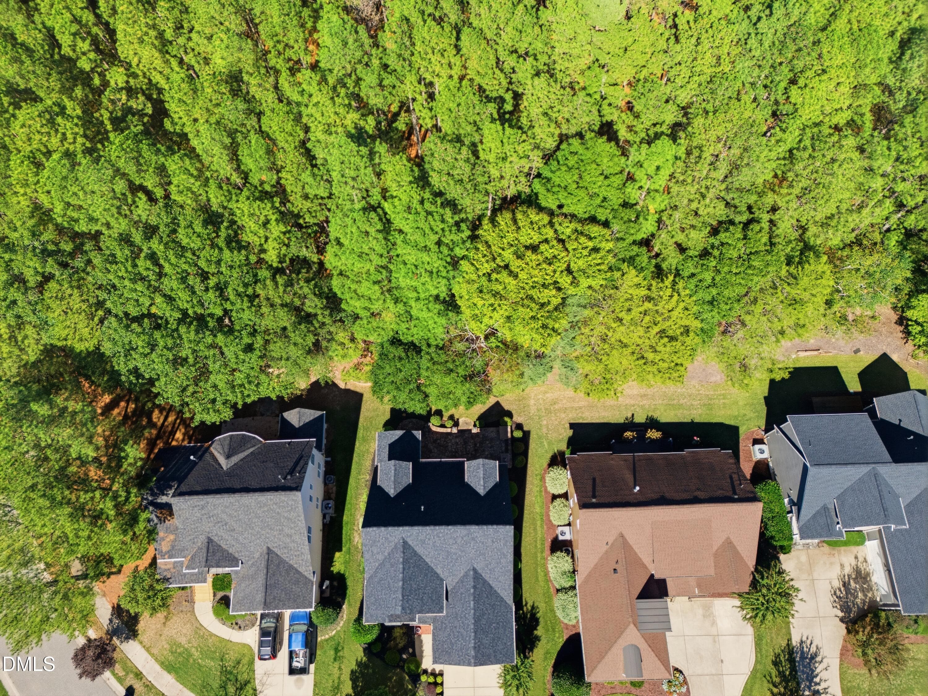 6_dji_20261019135430_0102_d - 3805 Orange Cosmos Avenue, Wake Forest, NC 27587