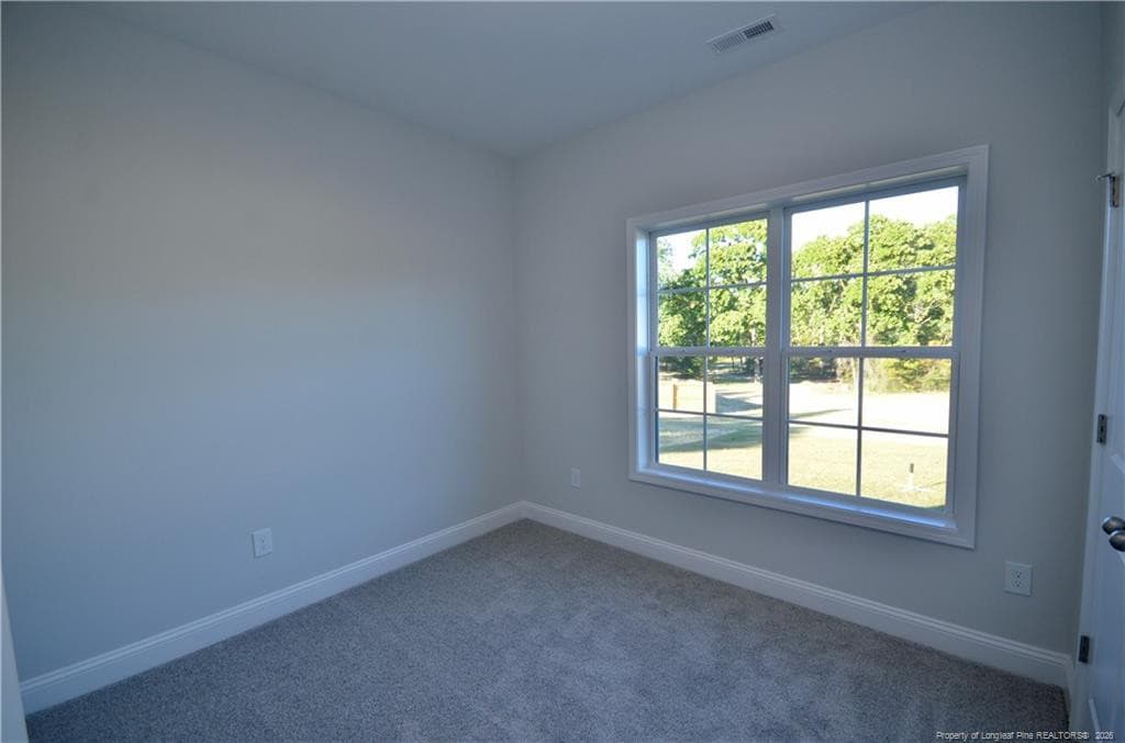 Photo 28 - 230 D L PHILLIPS (Lot 2) Lane, Broadway, NC 27505