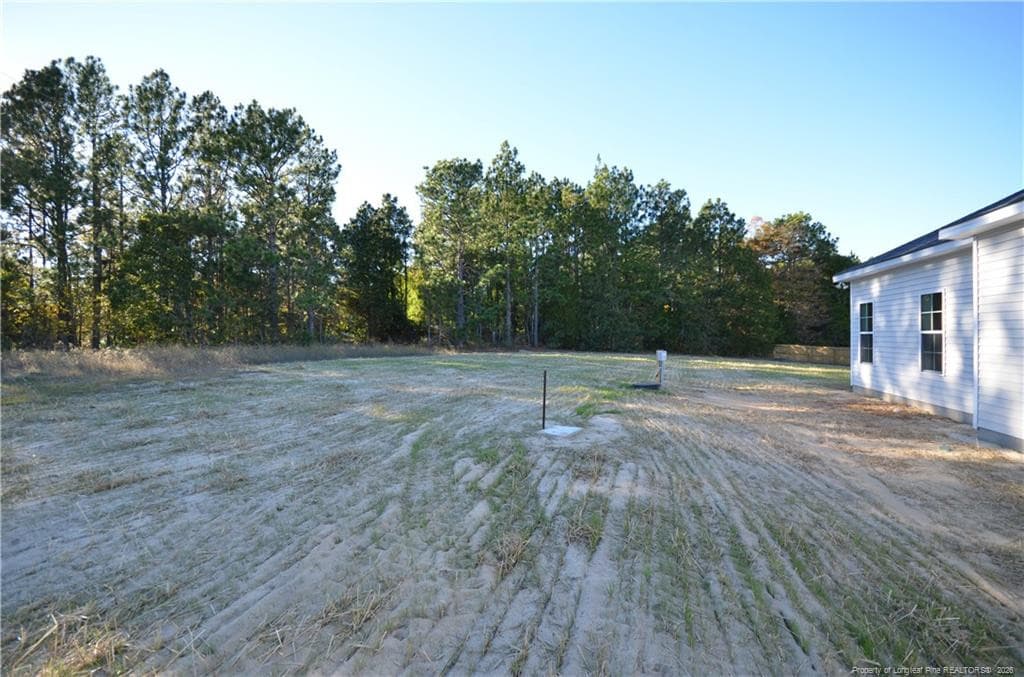 Photo 35 - 230 D L PHILLIPS (Lot 2) Lane, Broadway, NC 27505