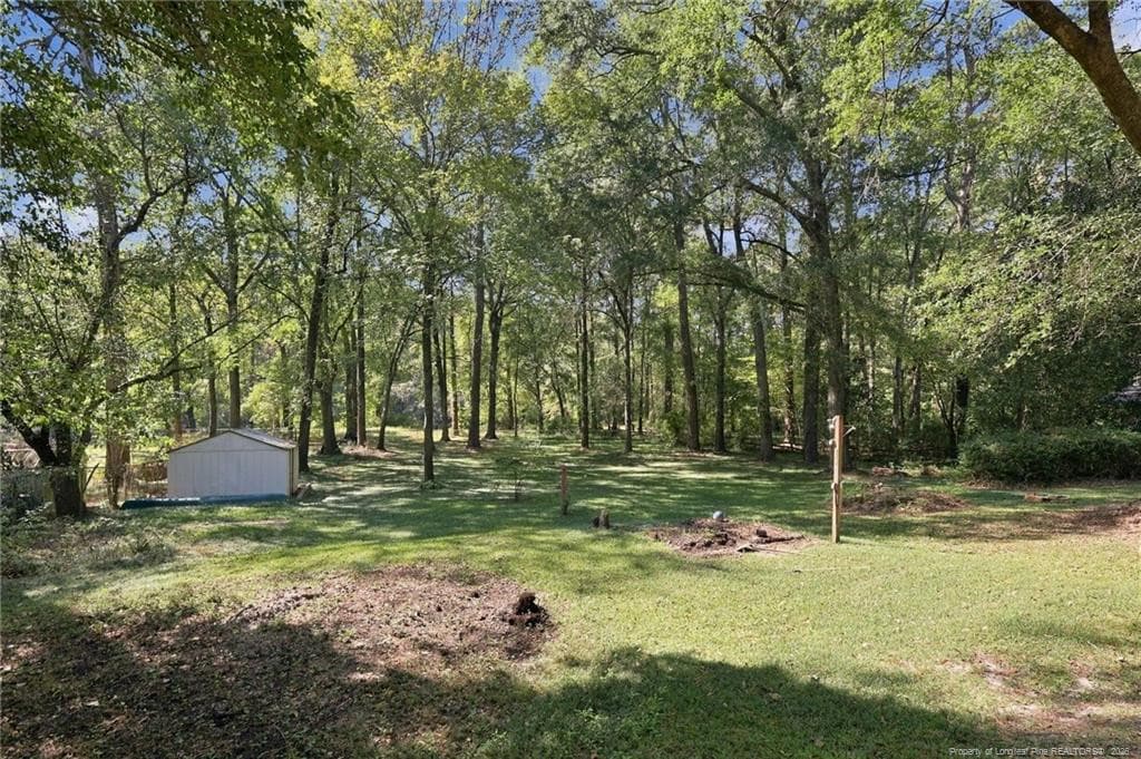 Park-like backyard - 1013 Riverside Boulevard, Lumberton, NC 28358