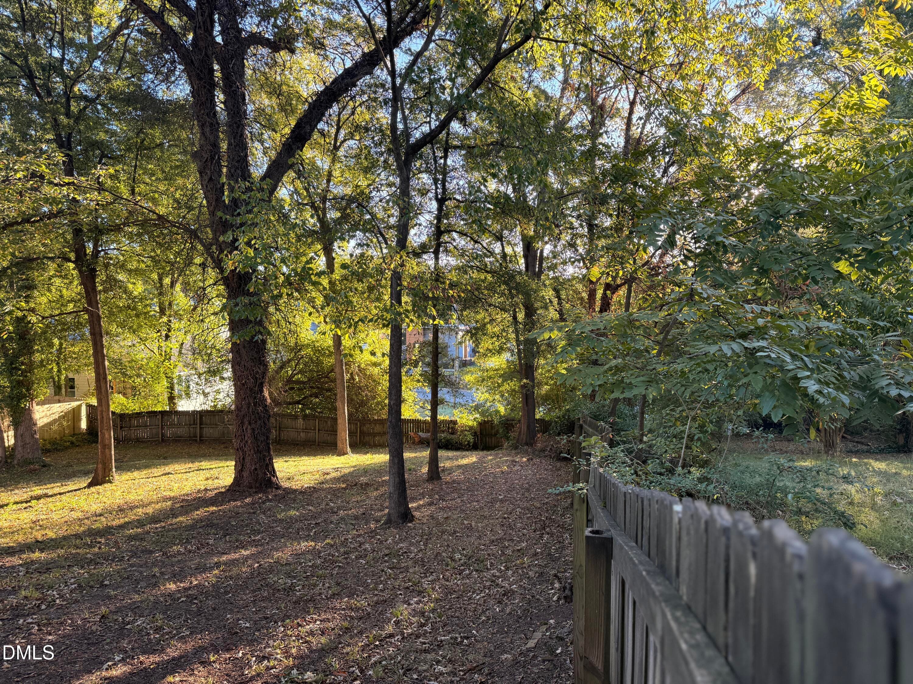 IMG_6492 - 1027 Cornell Street, Durham, NC 27707