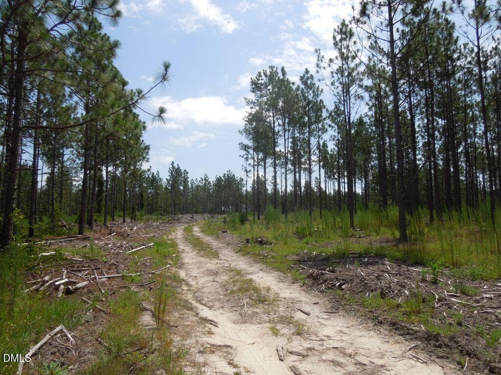 DSCN0680 - Tbd Nursery Road, Spring Lake, NC 28390