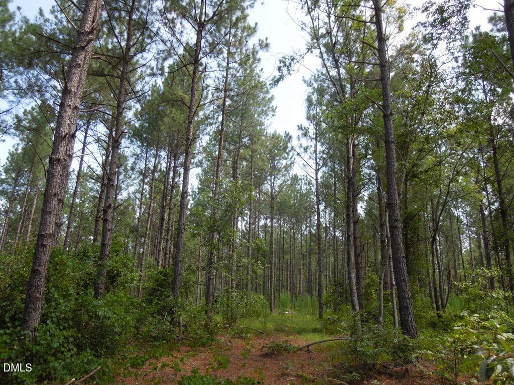 DSCN0676 - Tbd Nursery Road, Spring Lake, NC 28390