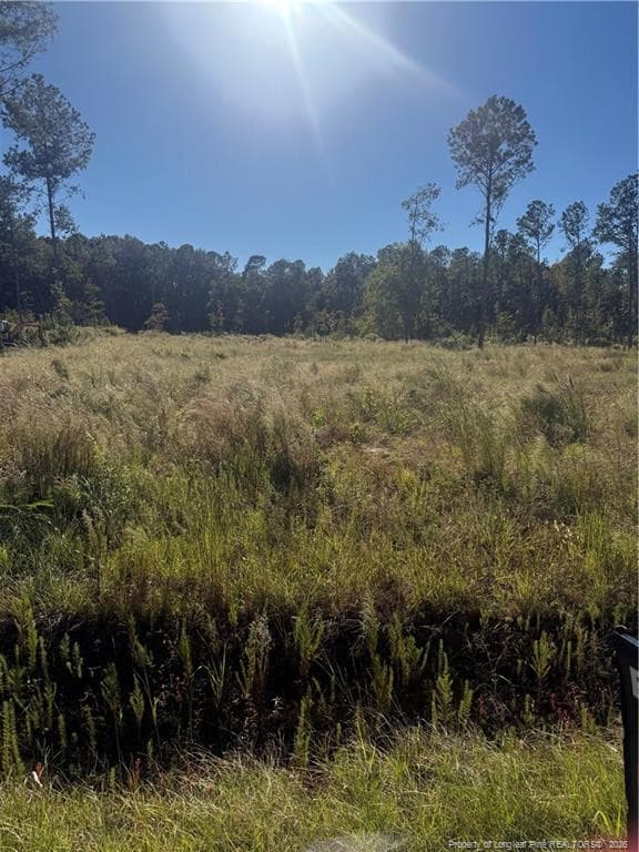 1291 Bill Hooks Road, Whiteville, NC 28472