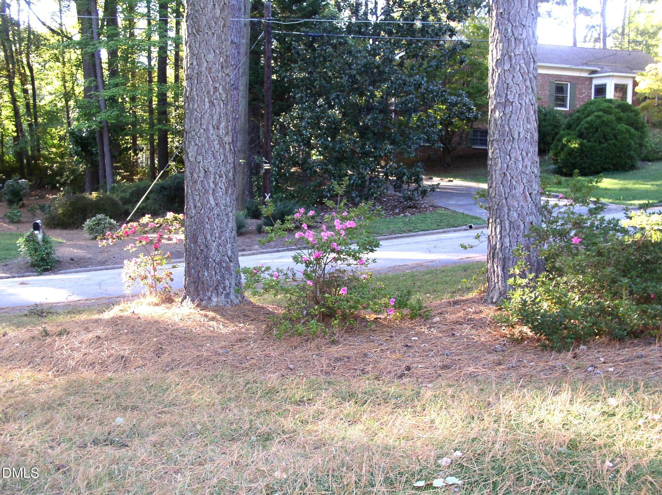 P1010178 - 1818 Brookrun Road, Henderson, NC 27536