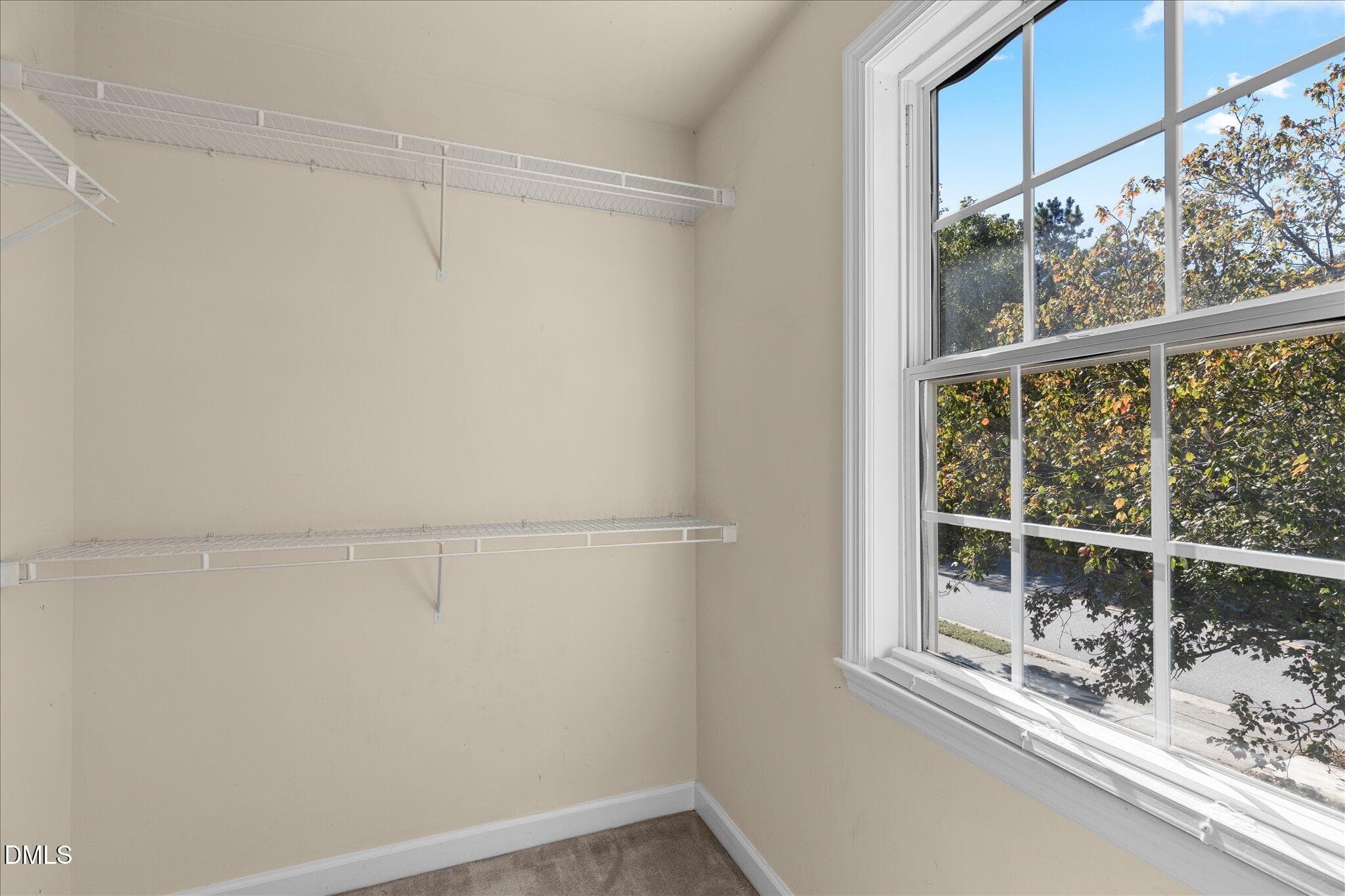 Walk In Closet - 8516 Wild Wood Forest Drive, Raleigh, NC 27616