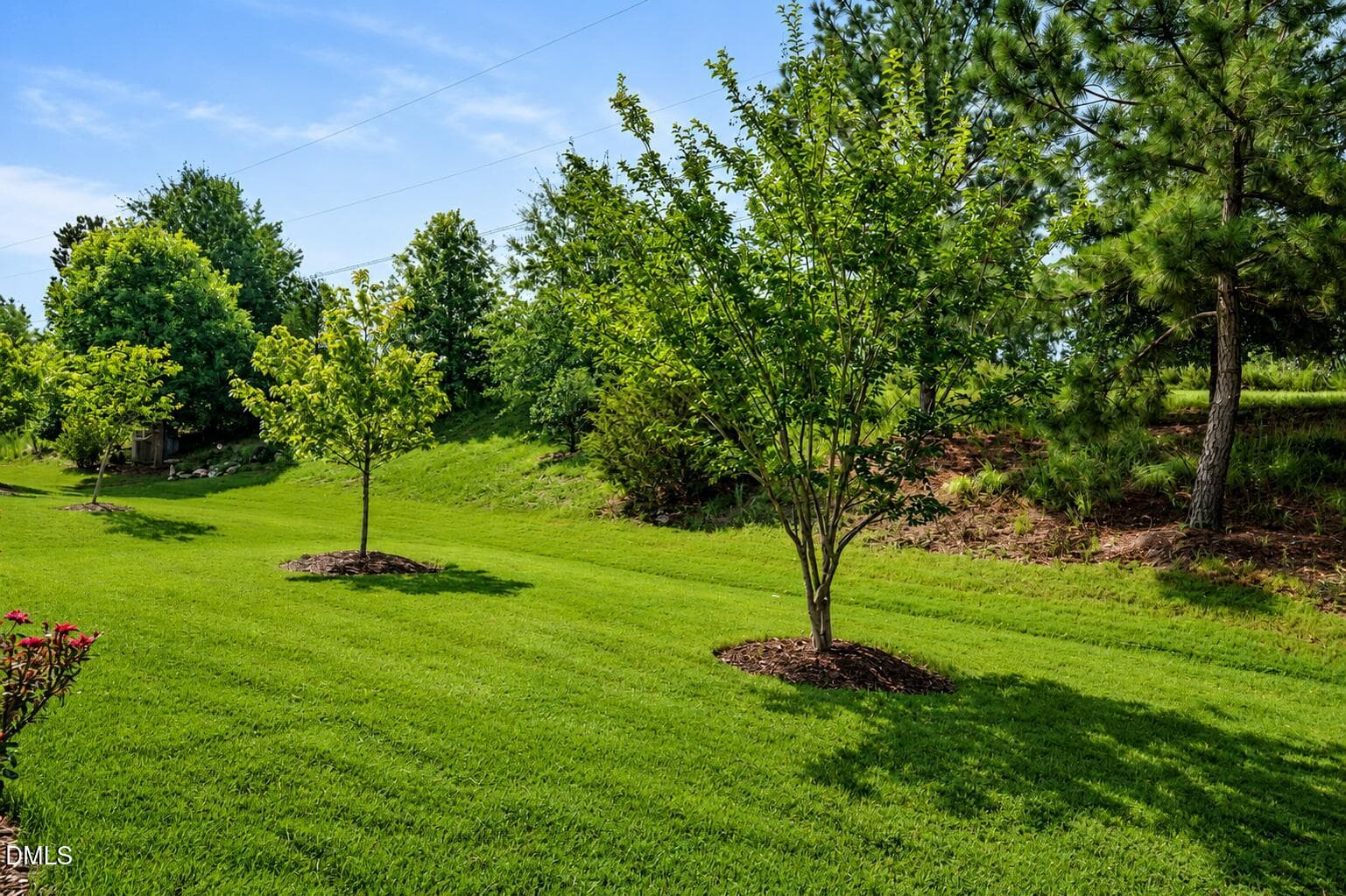 Backyard Views - 93 Abercorn Circle, Chapel Hill, NC 27516