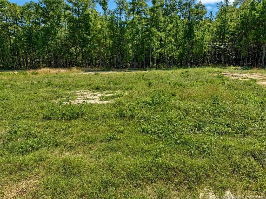 Backyard - 691 Hector McNeill Road, Raeford, NC 28376