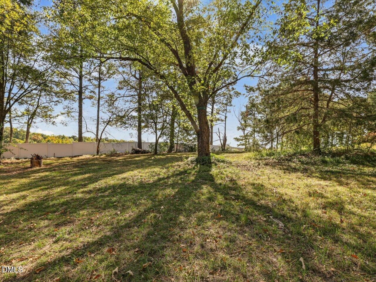 47-Backyard - 4412 Mitchell Mill Road, Wake Forest, NC 27587